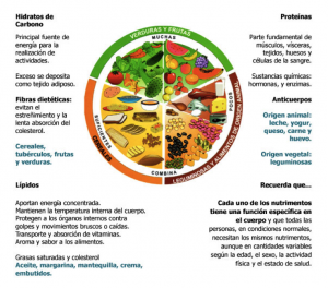 Tip: Plato del Bien Comer y Pirámide Nutricional