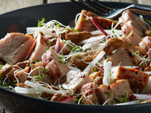 Ensalada de Germinados, Rábanos y Pechuga de Pavo al Pimiento y Tomate Zwan